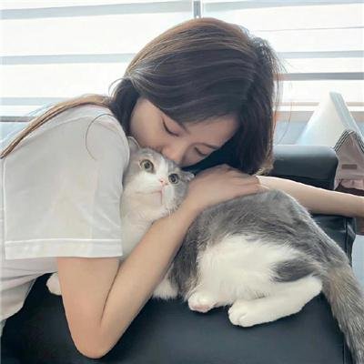 完美革命